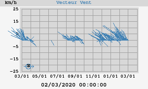 Wind Vector